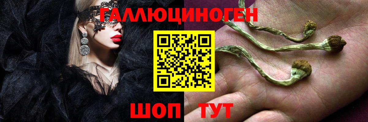 Псилоцибиновые грибы MAGIC MUSHROOMS Нефтекамск